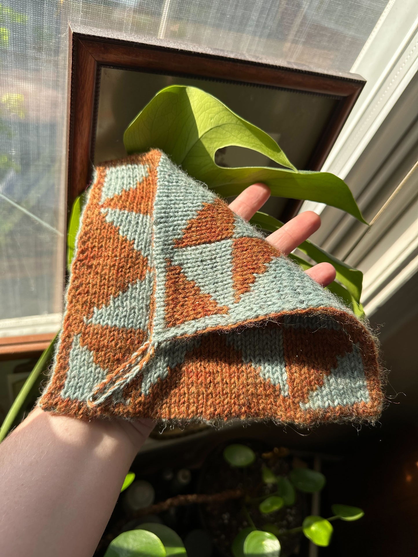 Double Knitting with Venus
