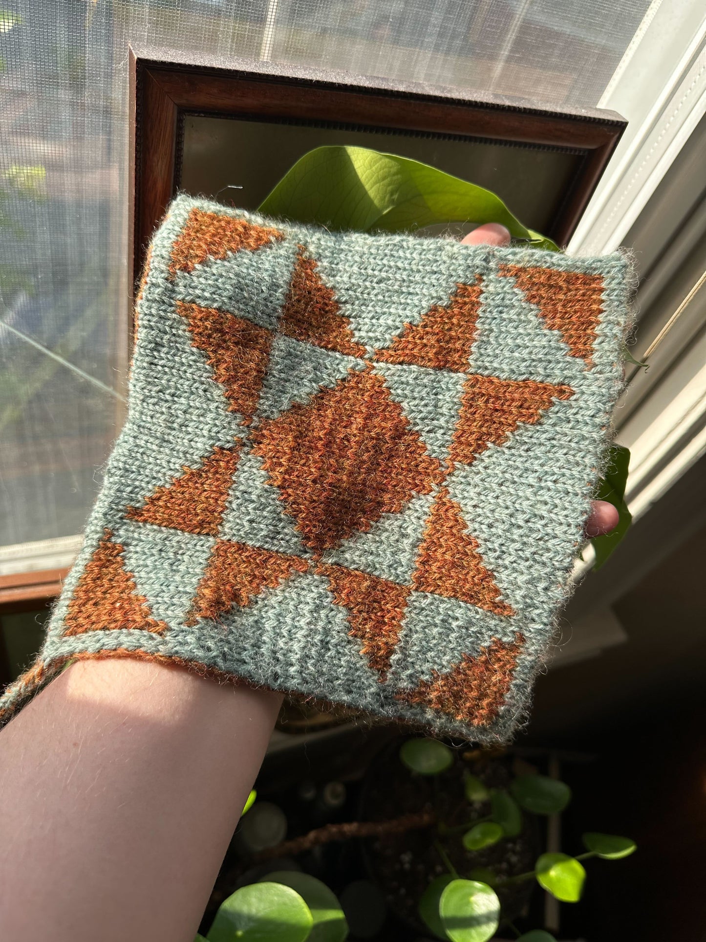 Double Knitting with Venus