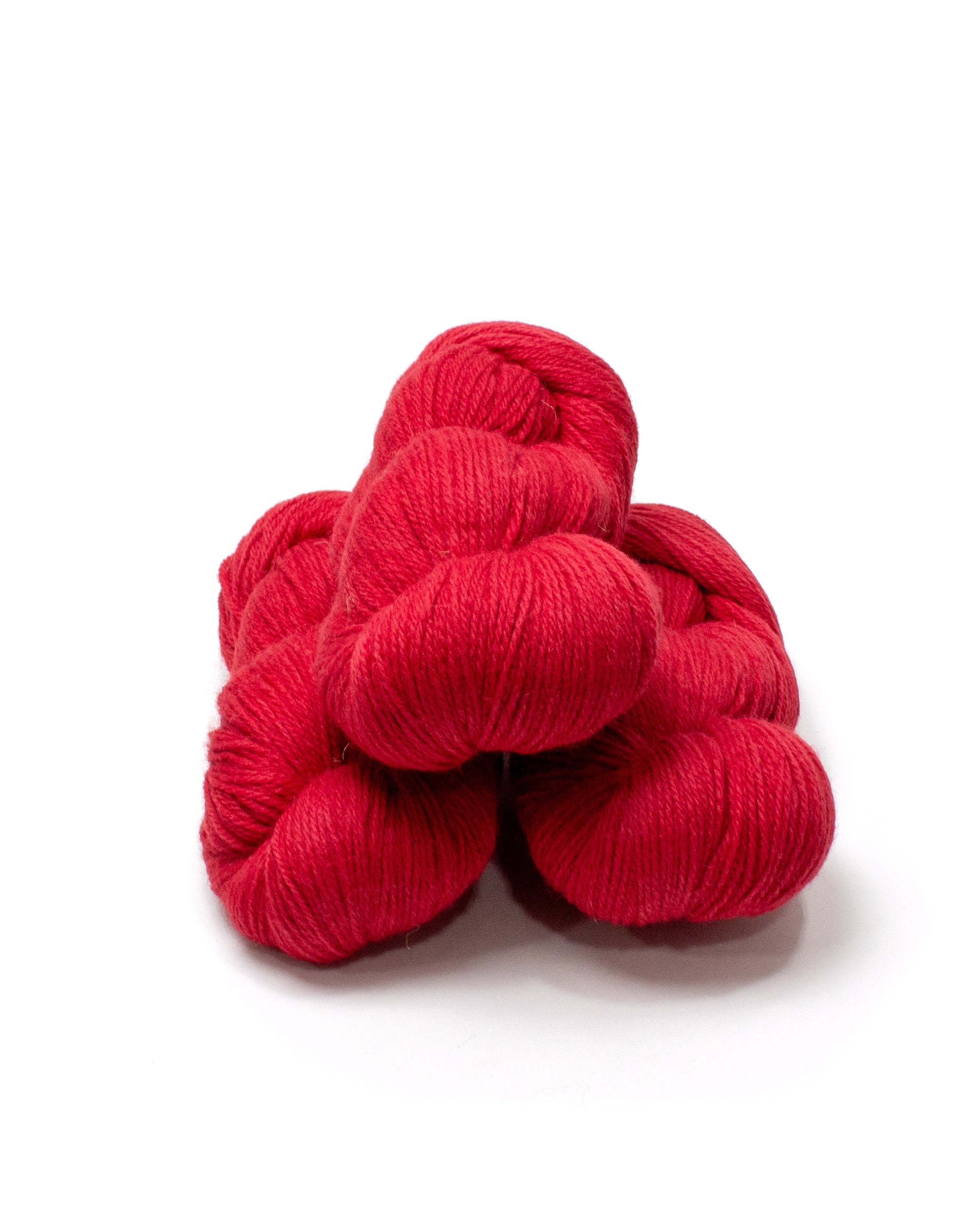 Baa Ram Ewe Coast - Lighthouse 304