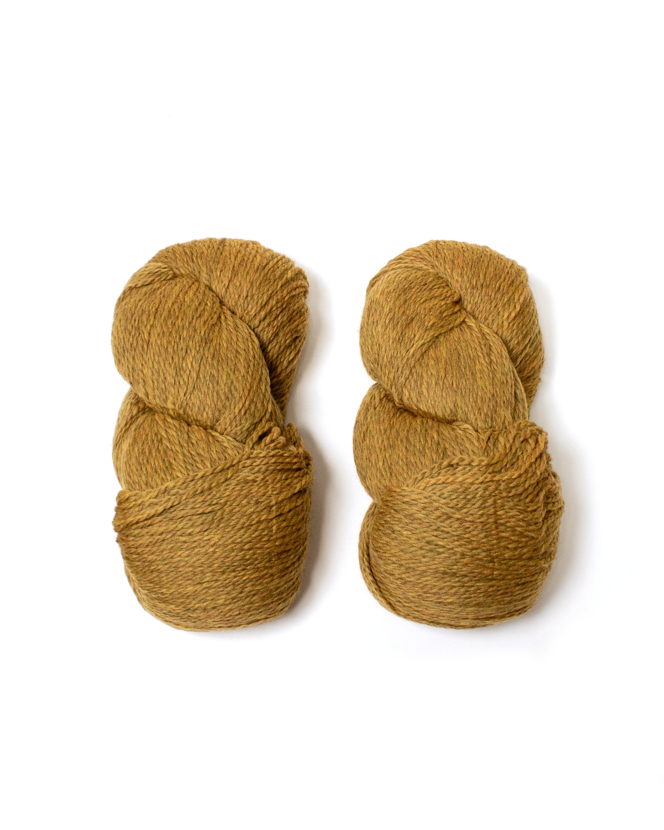 Cascade Eco+ Wool- Straw 4010