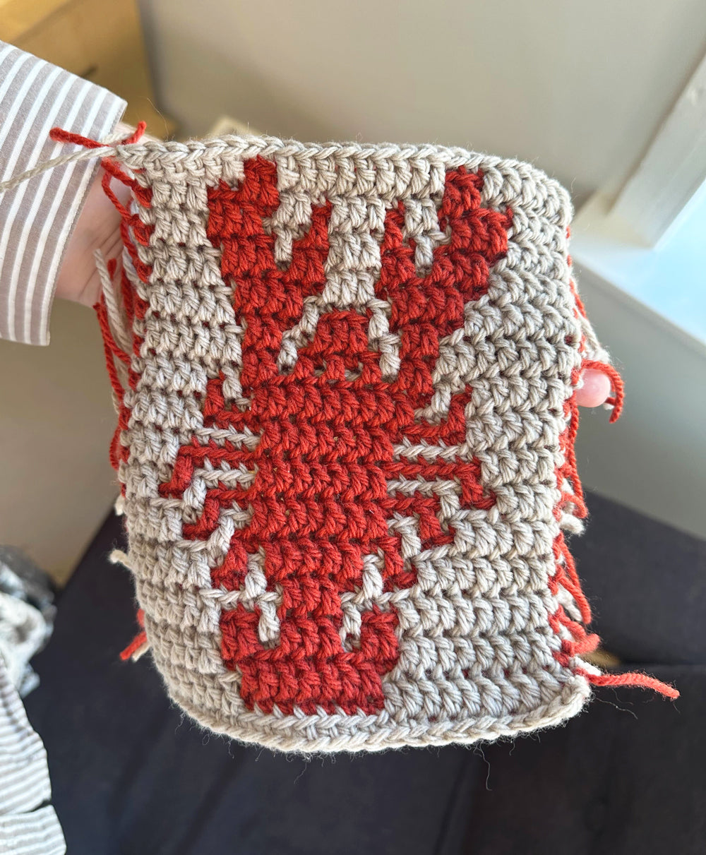 Mosaic Crochet with Venus