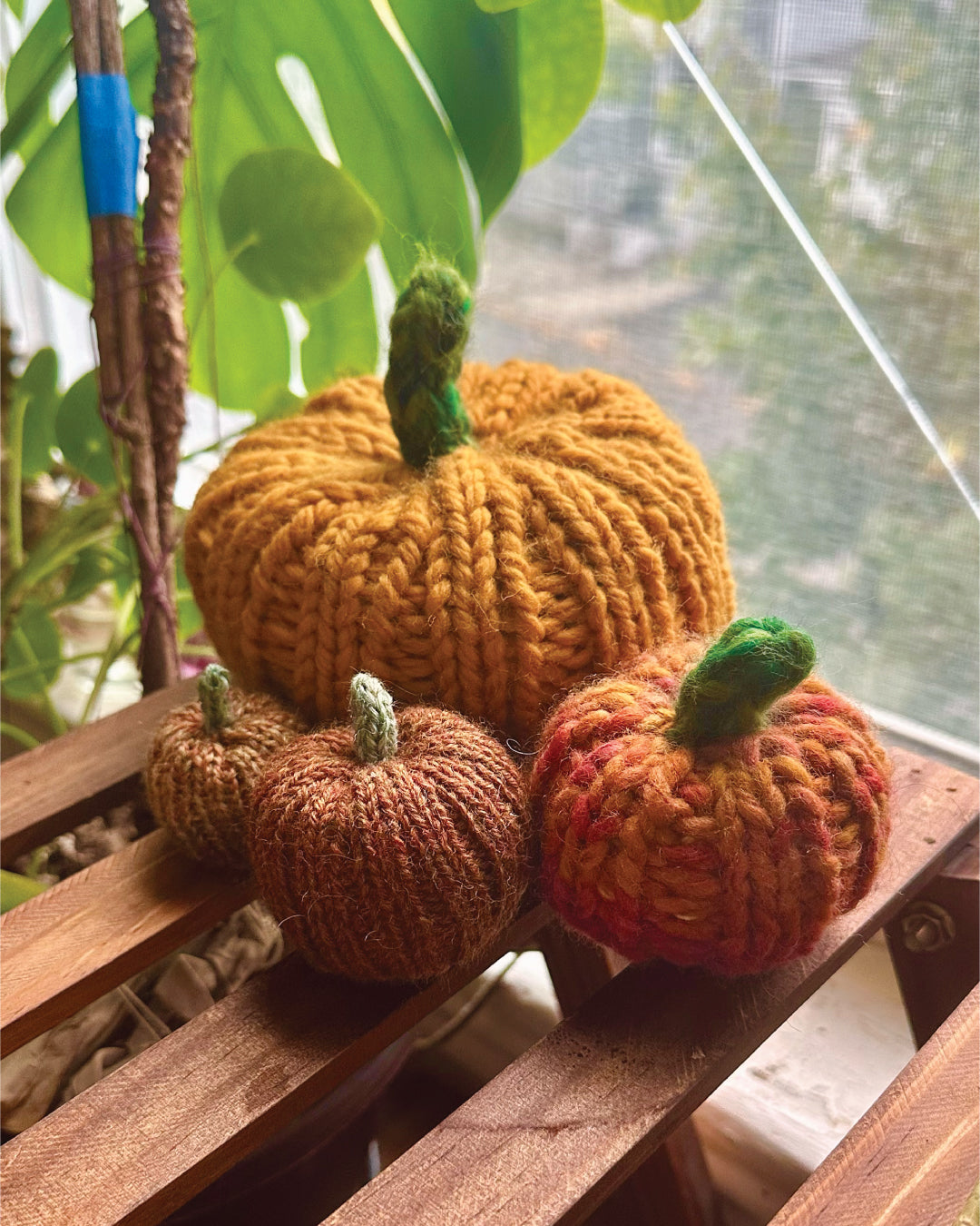 Pumpkin Knittin'