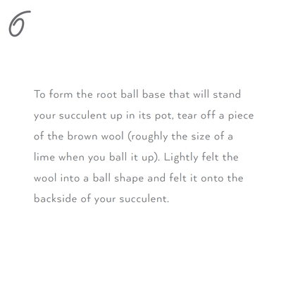 Needle Felting Kit - Succulent