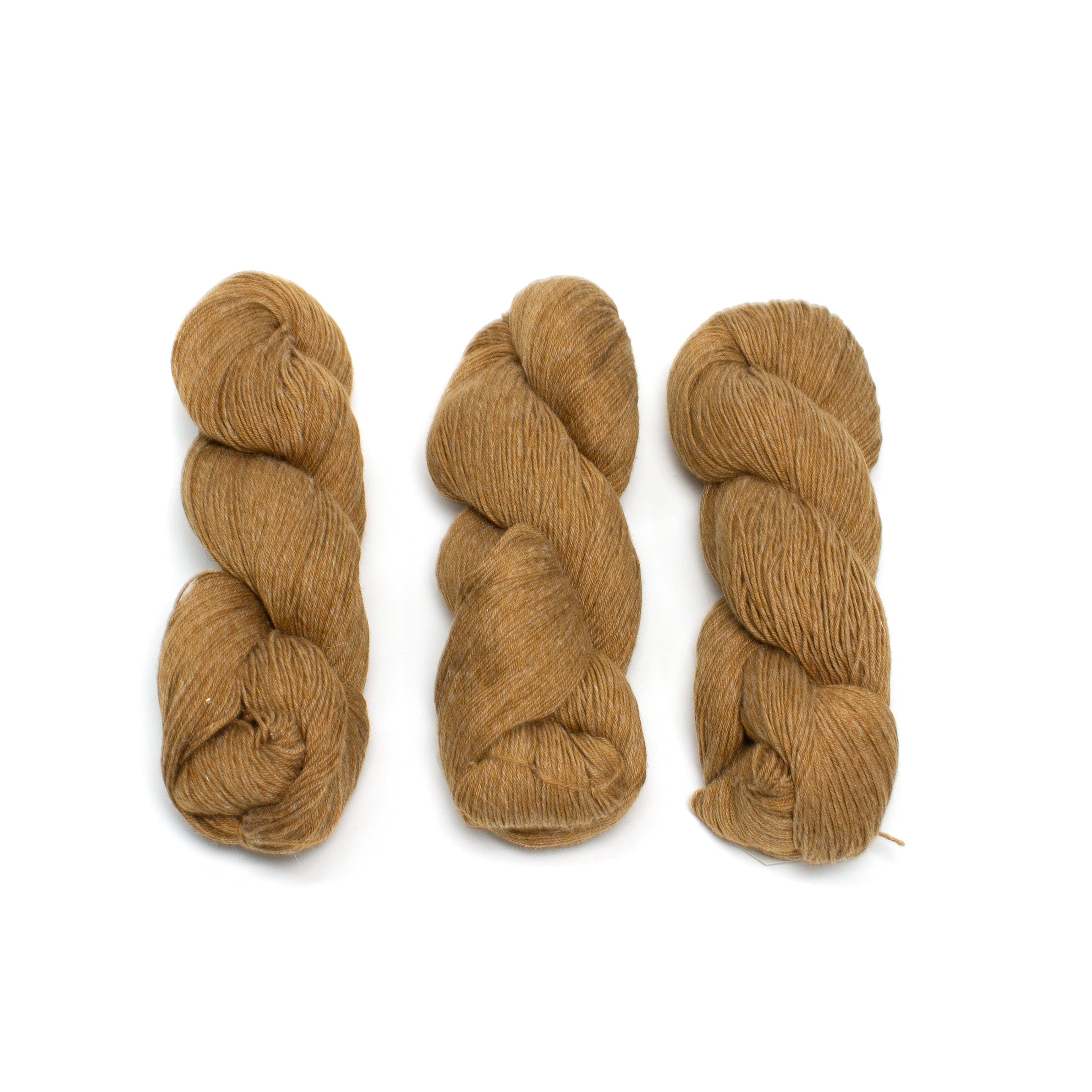 Amano Chaski - Golden Hour 1715