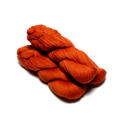 Cascade 220- Jack O Lantern 7824