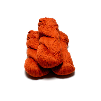 Cascade 220- Jack O Lantern 7824