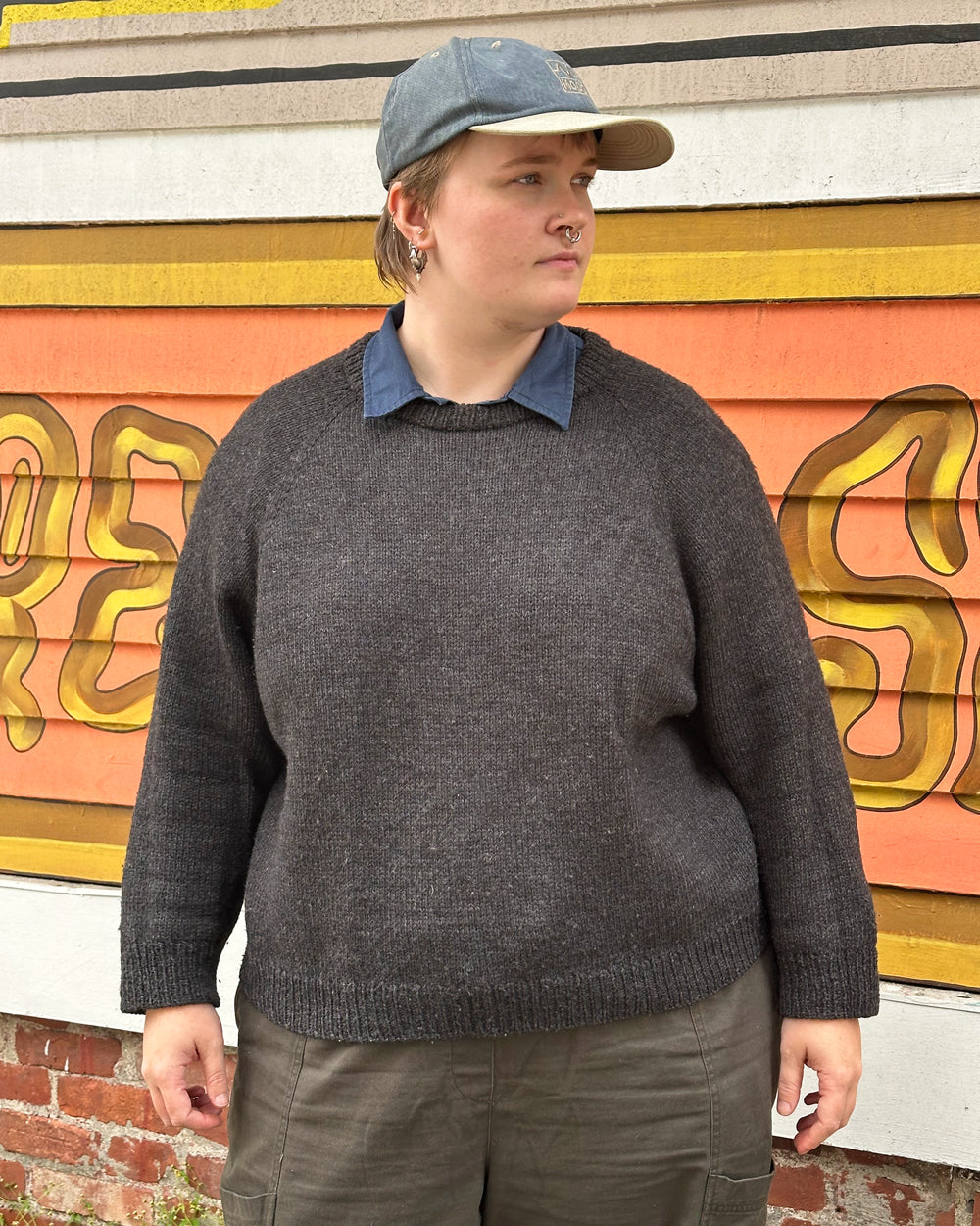 Raglan Sweater KAL