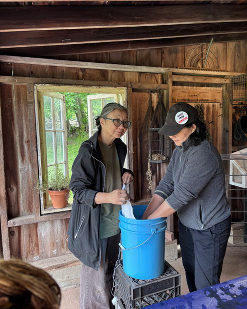 Plant Dyeing at Hurricane Hill Farm