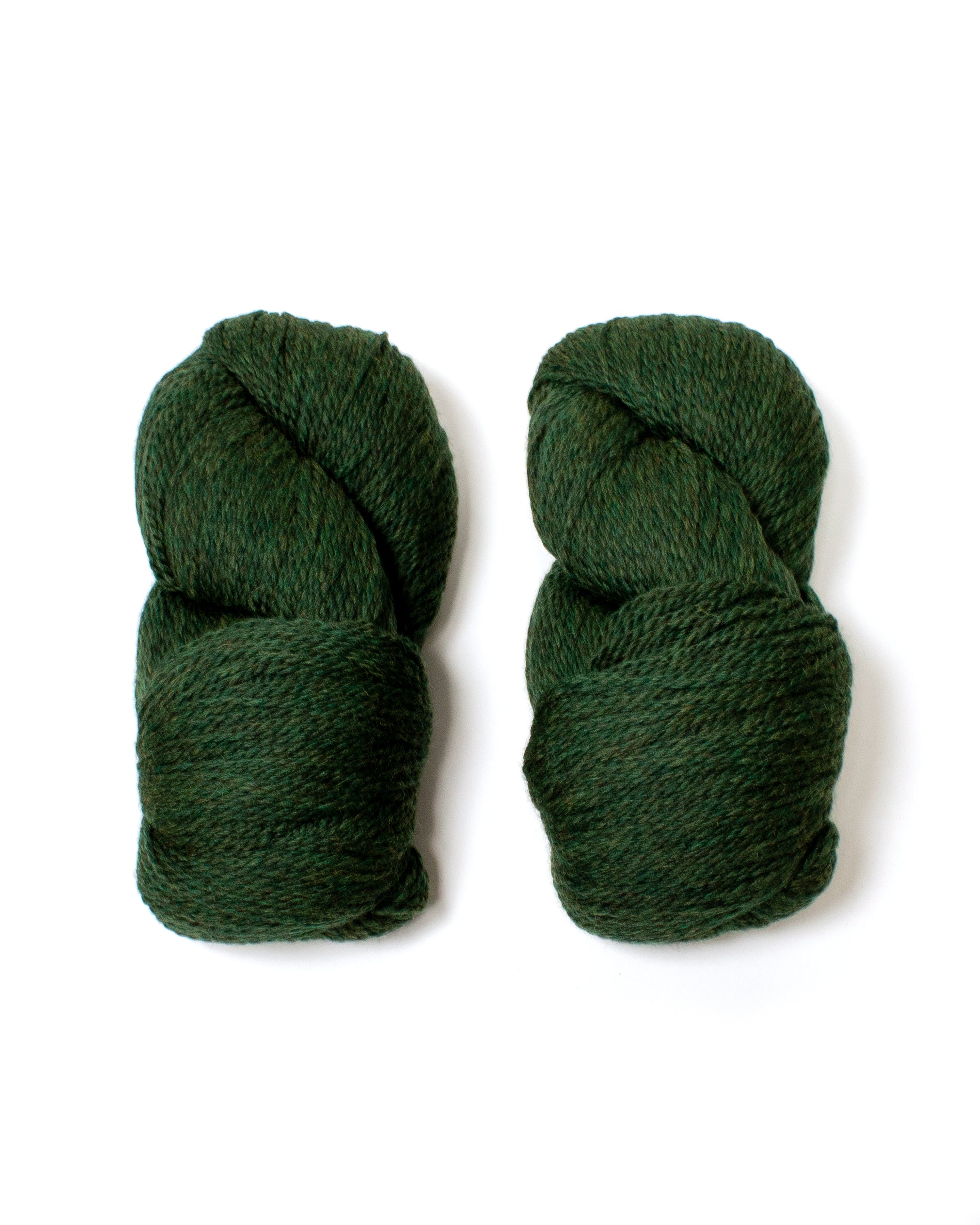 Cascade Eco+ Wool- Shire 2445