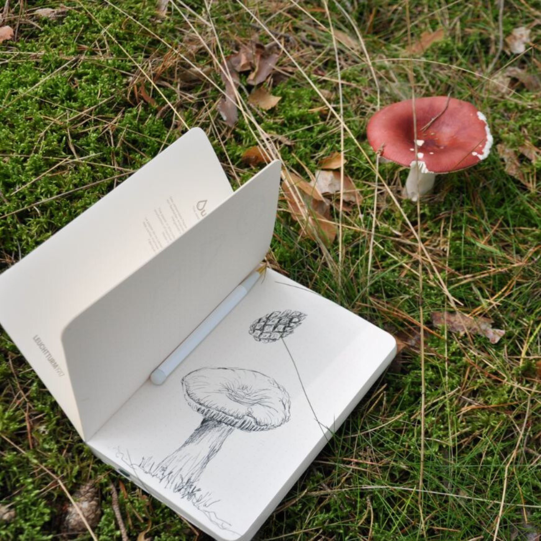 Outlines Edition - Notebooks: Signal Orange