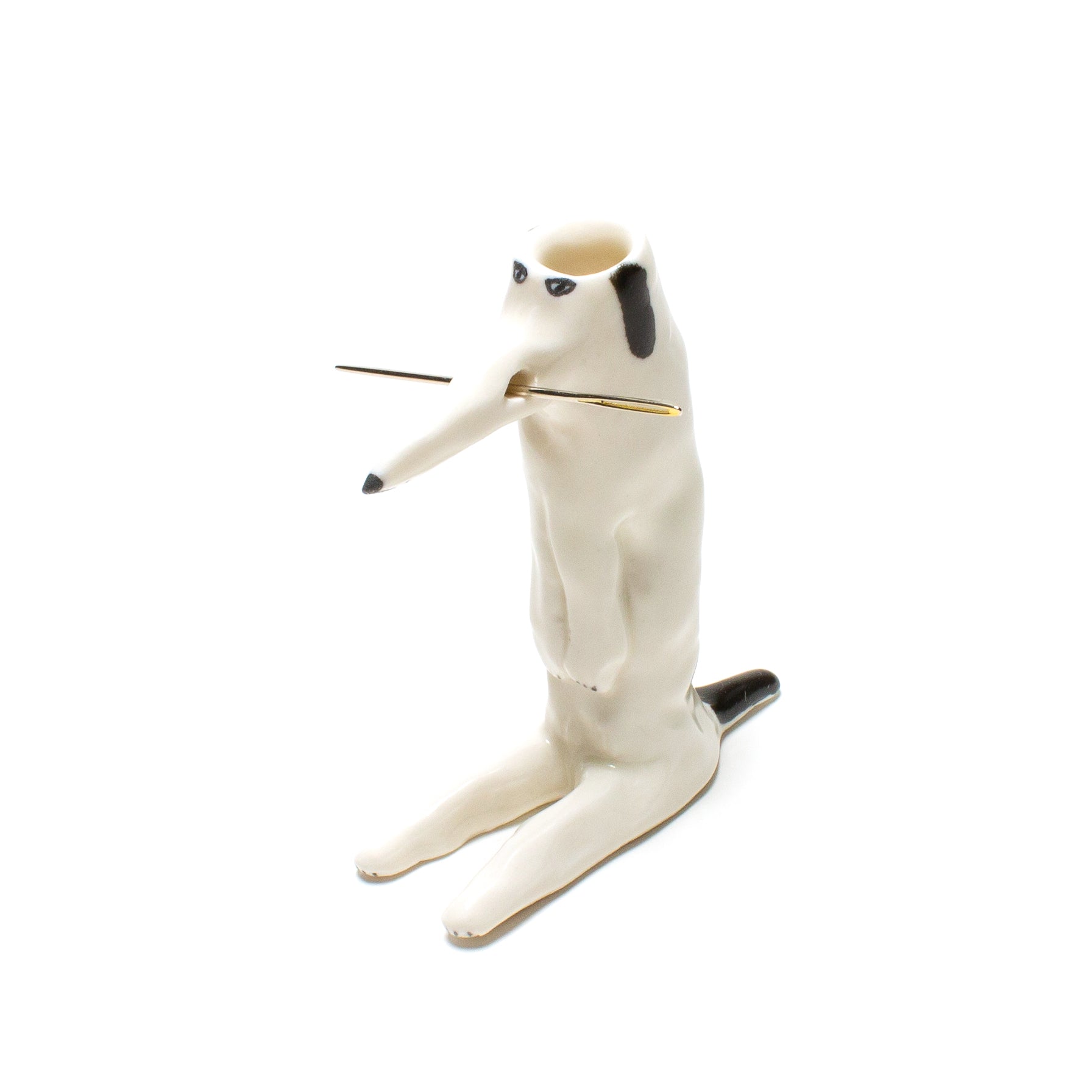 Toothpick Holding Dog on Butt